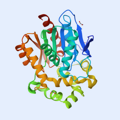 HaloTag Ligands