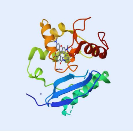 SNAP-Tag Ligands