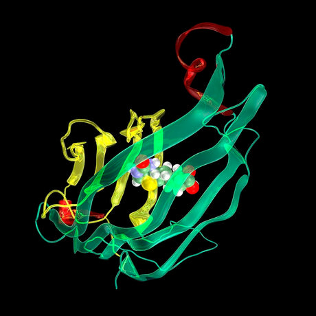 Biotinylation Reagents