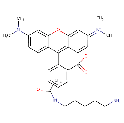 5(6)-TAMRA cadaverine