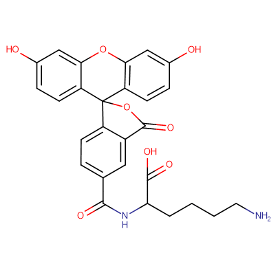5-FAM lysine