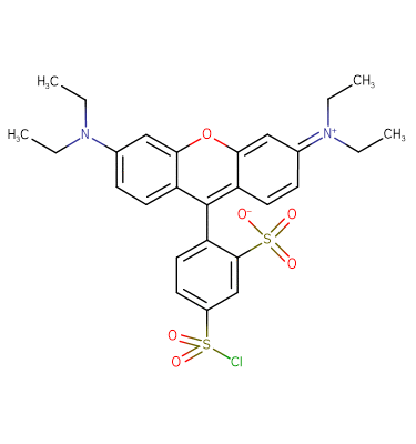 Lissamine rhodamine B sulfonyl chloride