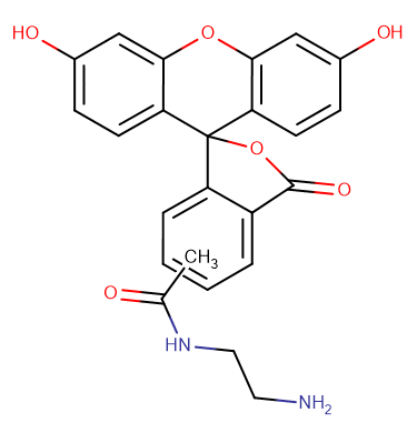 5(6)-FAM ethylenediamine