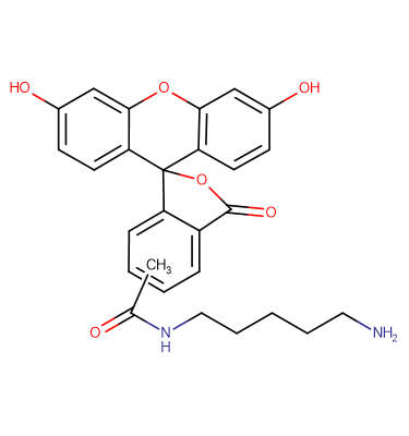 5(6)-FAM cadaverine
