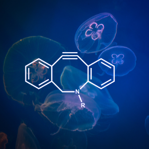 Fluorescent DBCO Reagents