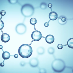 Protein Degraders