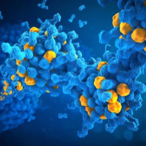 SOLU-KNEX®  ADC Linkers