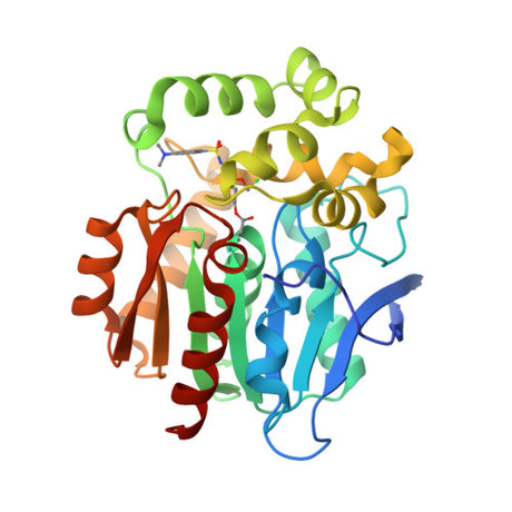 Self-Labeling Protein Tag Ligands