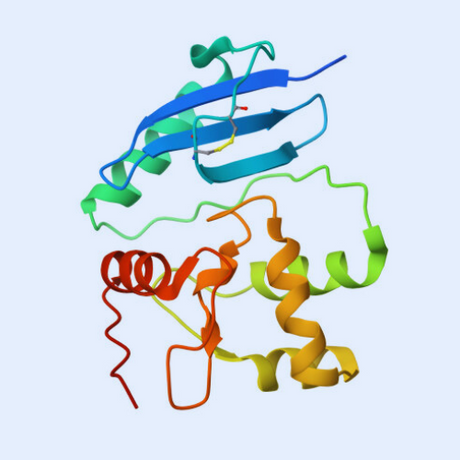 CLIP-Tag Ligands