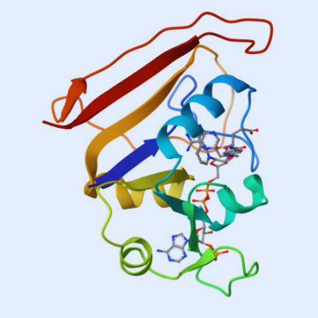 TMP-Tag Ligands