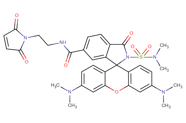 MaP555-Maleimide (cell-permeable fluorogenic dye)