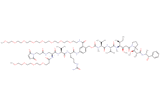 Mal-Propionyl-Dap(m-PEG4)-Val-Cit-PAB(m-PEG8)-MMAE