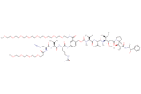 Azide-Dap(m-PEG4)-Val-Cit-PAB(m-PEG8)-MMAE