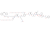 DBCO-Lys(m-PEG4)-Val-Cit-PAB(m-PEG4)-MMAE