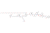 MC-Val-Cit-PAB(m-PEG8)-MMAE
