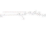 Mal-Propionyl-PEG4-Val-Cit-PAB(m-PEG8)-MMAE