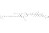 Mal-Propionyl-PEG4-Val-Cit-PAB(m-PEG4)-MMAE