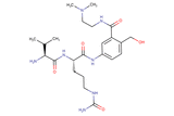 Val-Cit-PAB(Amido-C2-Dimethylamine)