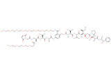 Mal-Acetyl-Dap(m-PEG4)-Val-Ala-PAB(m-PEG8)-MMAE