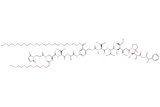 Mal-Propionyl-Dap(m-PEG4)-Val-Ala-PAB(m-PEG8)-MMAE
