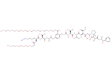 Azide-Lys(m-PEG4)-Val-Ala-PAB(m-PEG8)-MMAE