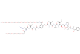 Azide-Dap(m-PEG4)-Val-Ala-PAB(m-PEG8)-MMAE