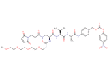 Mal-Propionyl-Dap(m-PEG4)-Val-Ala-PAB-PNP