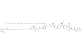 Mal-Propionyl-PEG4-Val-Ala-PAB(m-PEG8)-MMAE