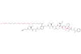 Propargyl-Acetyl-Val-Ala-PAB(m-PEG8)-MMAE