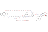 DBCO-Lys(m-PEG4)-Gly-Gly-Phe-Gly-PAB(m-PEG8)-Exatecan