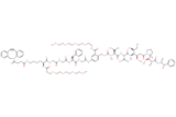 DBCO-Lys(m-PEG4)-Gly-Gly-Phe-Gly-PAB(m-PEG4)-MMAE