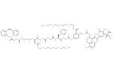 DBCO-Lys(m-PEG4)-Gly-Gly-Phe-Gly-PAB(m-PEG4)-Exatecan