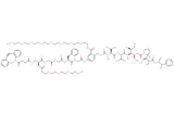 DBCO-Dap(m-PEG4)-Gly-Gly-Phe-Gly-PAB(m-PEG8)-MMAE