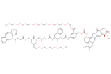 DBCO-Dap(m-PEG4)-Gly-Gly-Phe-Gly-PAB(m-PEG8)-Exatecan