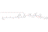 Mal-Propionyl-Beta-Ala-Gly-Gly-Phe-Gly-PAB(m-PEG8)-MMAE