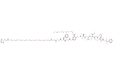 Mal-Propionyl-PEG8-Gly-Gly-Phe-Gly-PAB(m-PEG4)-MMAE