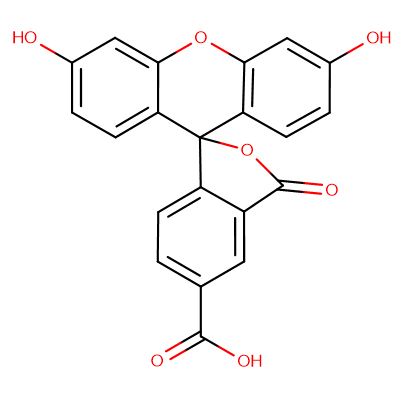 5-FAM