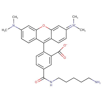 5-TAMRA cadaverine