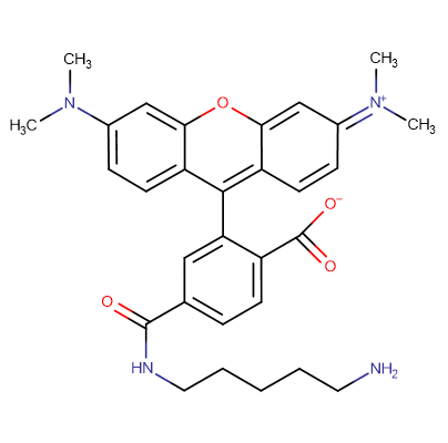 6-TAMRA cadaverine