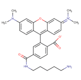 6-TAMRA cadaverine