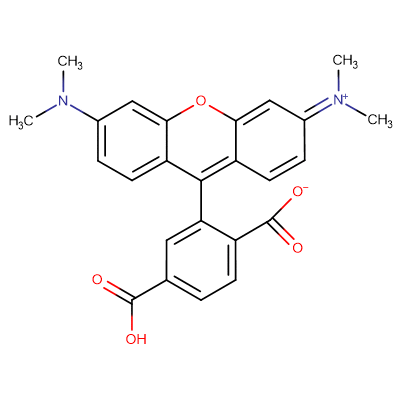 6-TAMRA