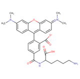 5-TAMRA Lysine