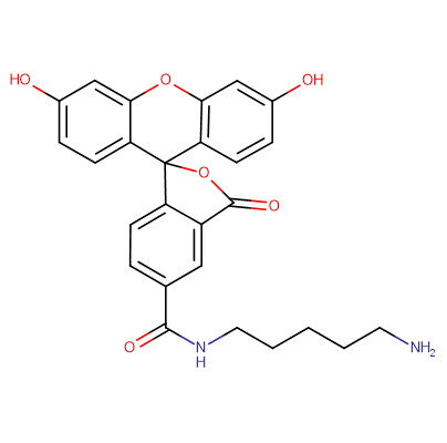 5-FAM cadaverine