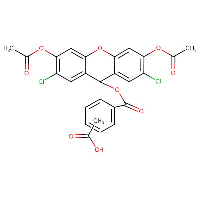 5-(and-6)-carboxyl-2',7'-dichlorofluorescein diacetate