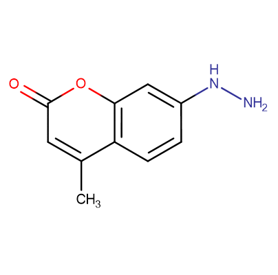 Coumarin hydrazine