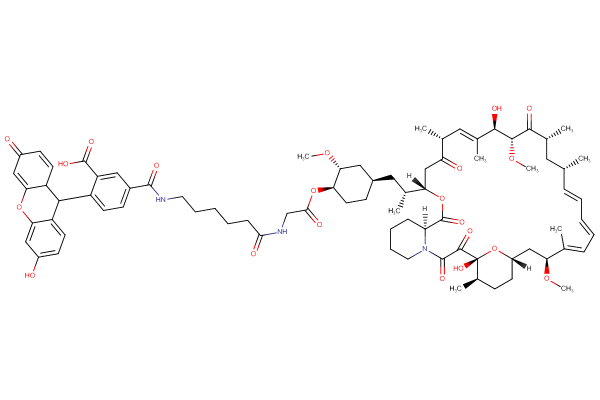 Rapamycin-LC-fluorescein