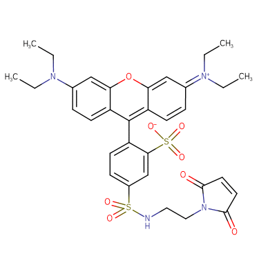 Lissamine rhodamine B C2 maleimide