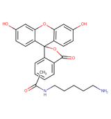 5(6)-FAM cadaverine
