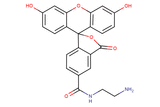 5-FAM ethylenediamine