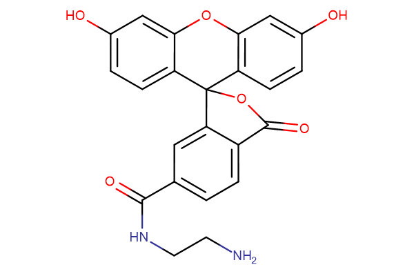 6-FAM ethylenediamine